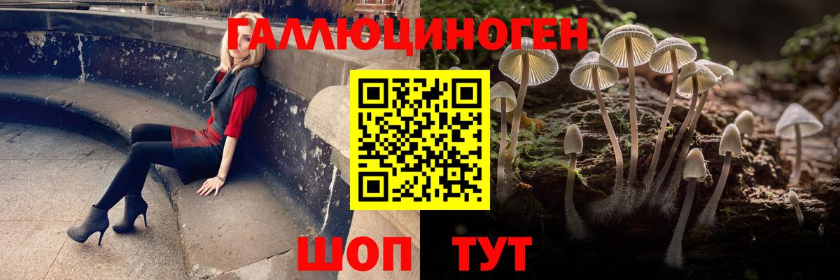 Галлюциногенные грибы MAGIC MUSHROOMS Верхняя Пышма