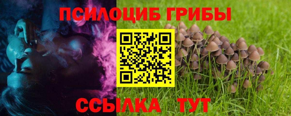 Псилоцибиновые грибы Magic Shrooms  купить наркотик  Верхняя Пышма  Галлюциногенные грибы мицелий  Вход с VPN 